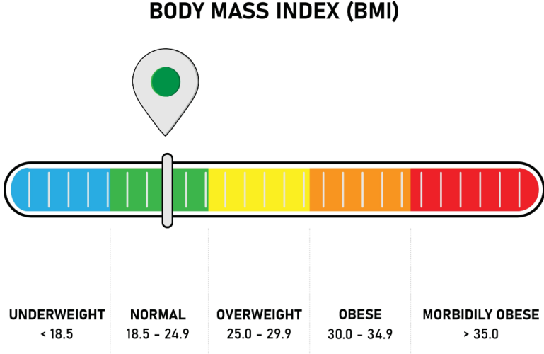 BMI meter for healthy to obese